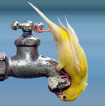 Отключение горячей воды