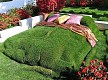 Самый интересный и креативный дизайн диванов