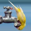 Все, что вы хотели знать об отключении горячей воды