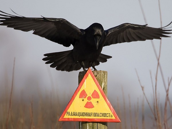 картинка Чернобыль
