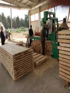 Более 19 млрд. рублей убытка нанесли государству управленцы в деревообрабатывающей отрасли