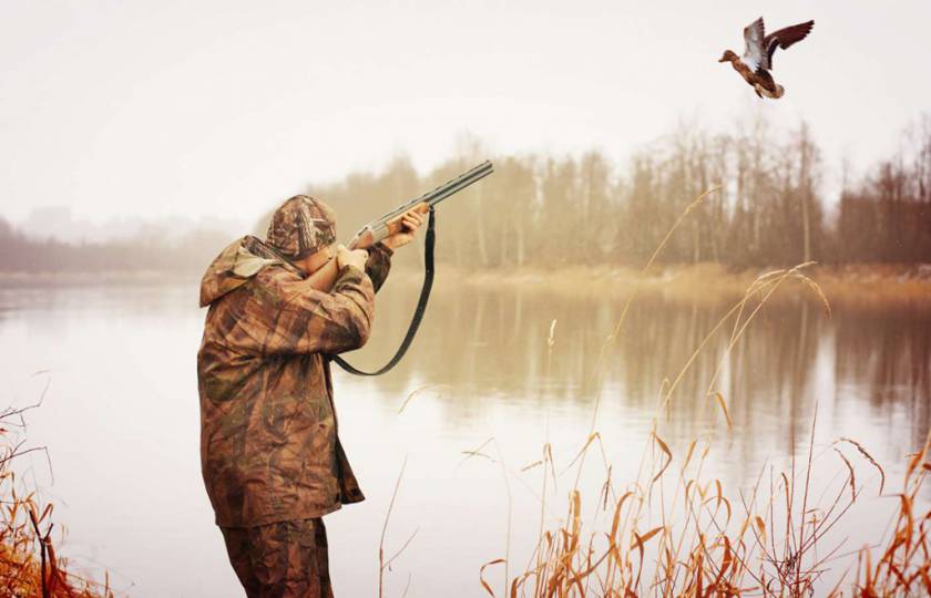 Новые правила охоты в Беларуси 2020
