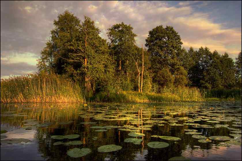 Красивые места на Браславских озёрах