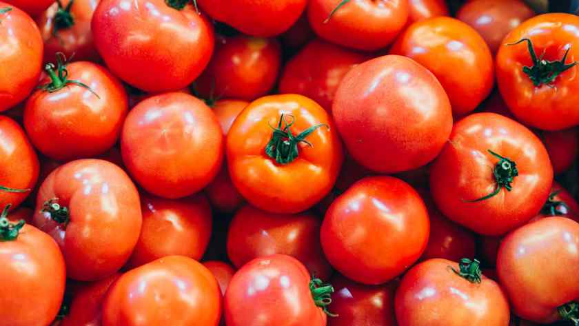 Лучшие сорта томатов