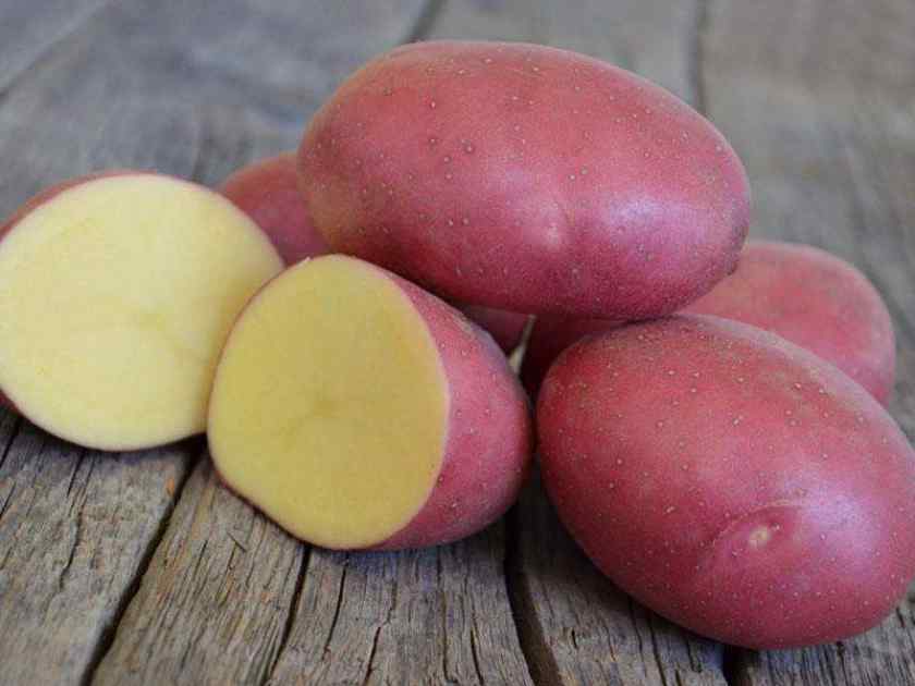 Лучшие сорта картофеля для Беларуси: Ред Скарлетт