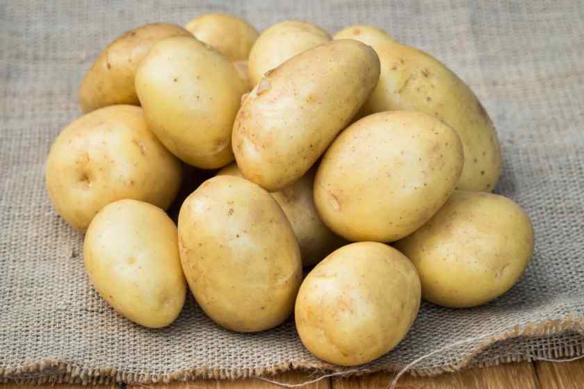Лучшие сорта картофеля для Беларуси: Уладар