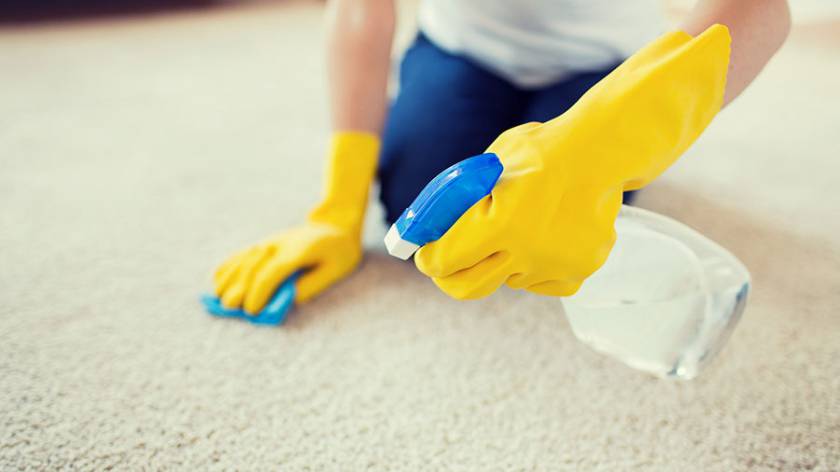 Как почистить ковёр в домашних условиях нашатырём?