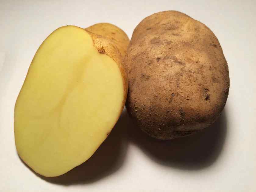 Лучшие сорта картофеля для Беларуси: Аксамит