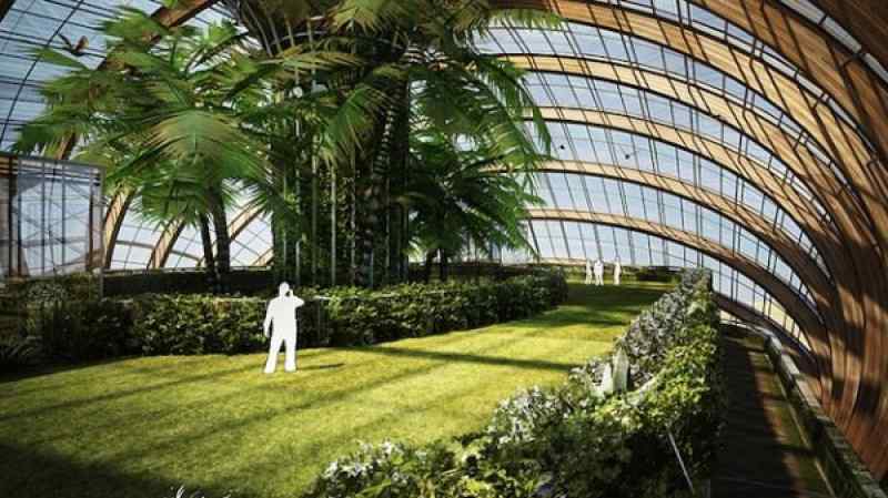 дом-ковчег внутри