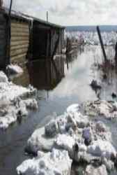 В Могилевской области девять районов пострадали от подтопления