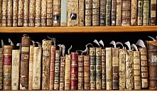 Книжные завалы помешали выселению