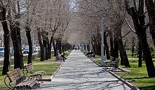 В Беларуси к концу недели похолодает