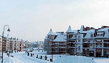 В Подмосковье построили поселок лэйнхаусов