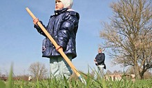 Все на субботник!
